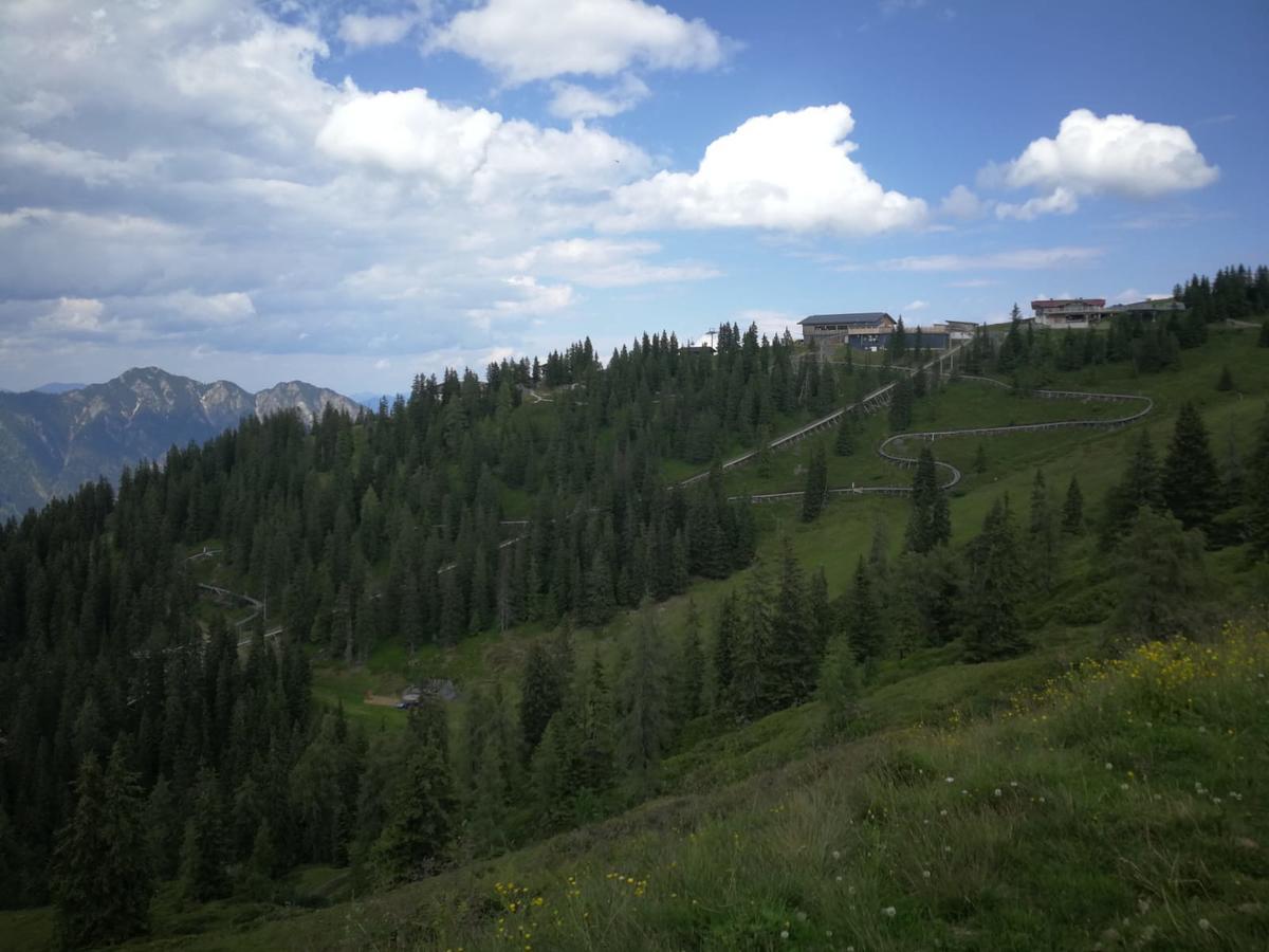 Apartament Alpbachblick Zewnętrze zdjęcie